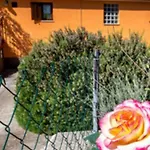 Apartament Diana *