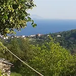 Diana Apartament