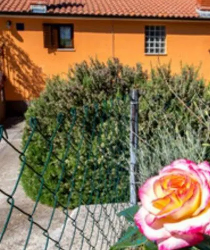 Apartment Diana Apartman *